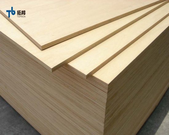 Muebles de contrachapado de abedul usado con núcleo de álamo