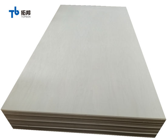 Madera contrachapada de álamo blanqueado de buena calidad con precio bajo