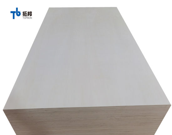 Precio barato de madera contrachapada de álamo de la fábrica de China