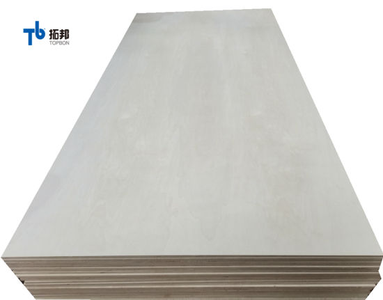 Madera contrachapada de álamo blanqueado de buena calidad con precio bajo