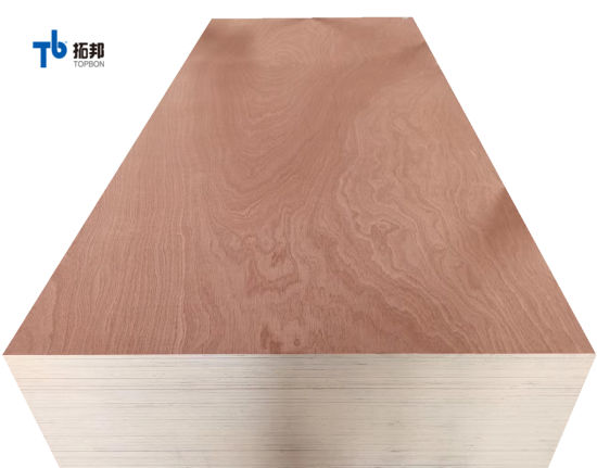 Contrachapado Sapele comercial de China con precio mayorista