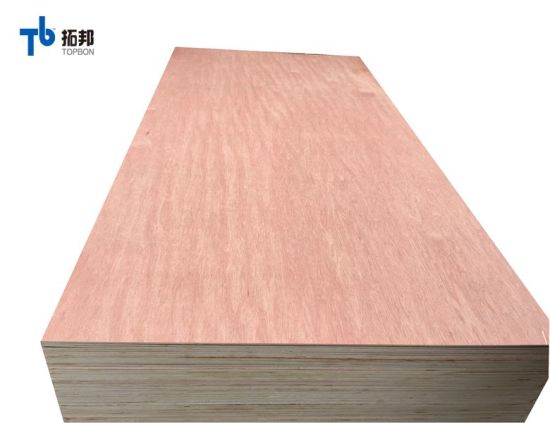 "Madera contrachapada de alta calidad de 18 mm para la fabricación de troqueles"