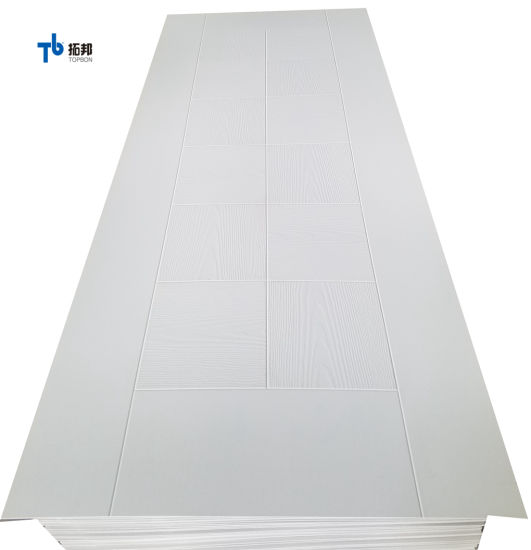 "Piel de puerta de imprimación blanca de fábrica de China"