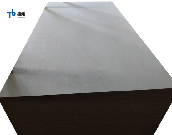 Madera contrachapada de álamo blanqueado de buena calidad con precio bajo