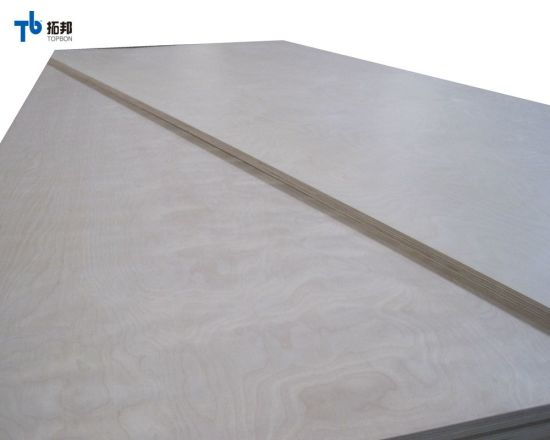"8 mm de madera contrachapada de abedul/ hoja de madera contrachapada con alta calidad"