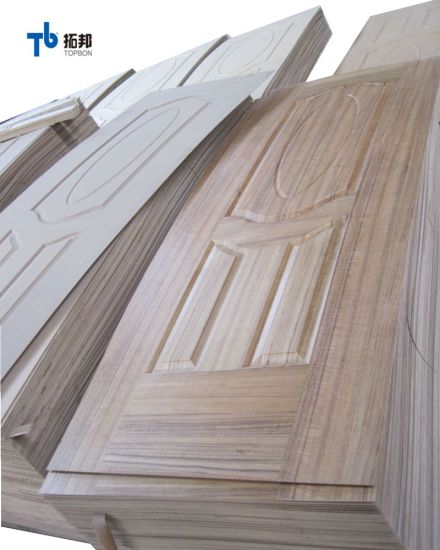Piel de puerta de chapa de alta calidad de 3 mm