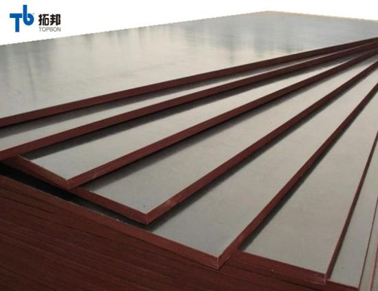 Madera contrachapada revestida con película Finger Joint para el mercado de Oriente Medio