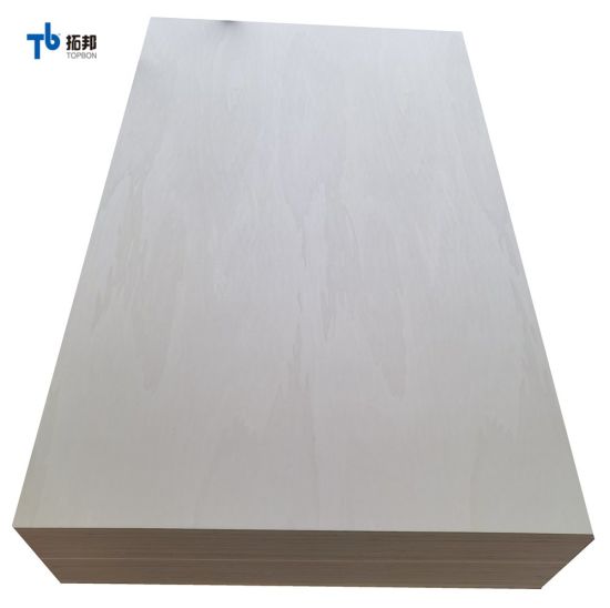 Precio barato de madera contrachapada de álamo de la fábrica de China