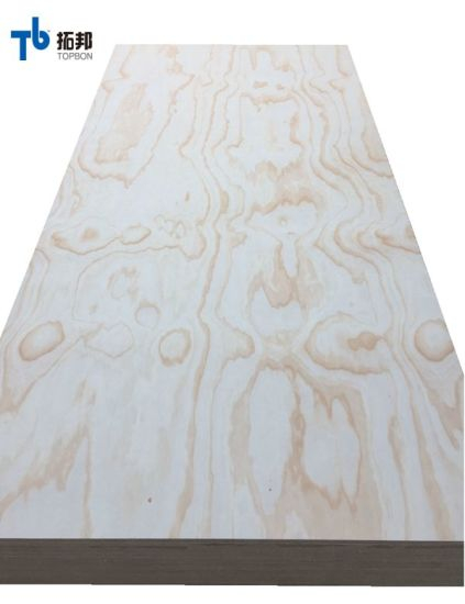 "Precio de madera contrachapada al por mayor de China para el paquete de madera contrachapada Bintangor"