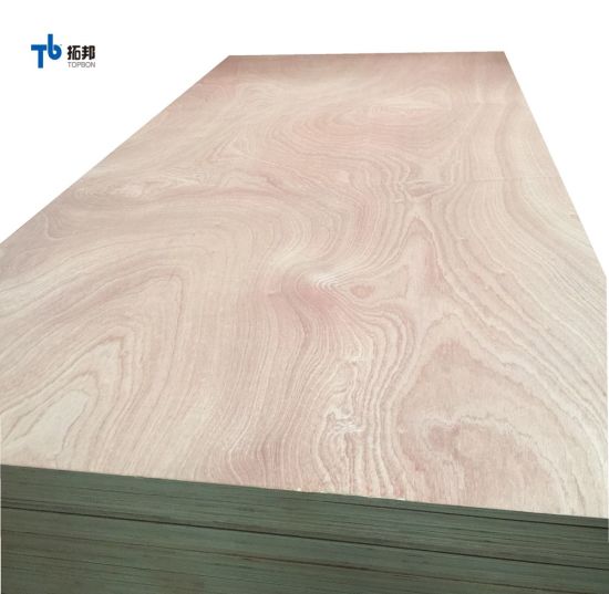 Contrachapado Sapele de buena calidad con precio bajo