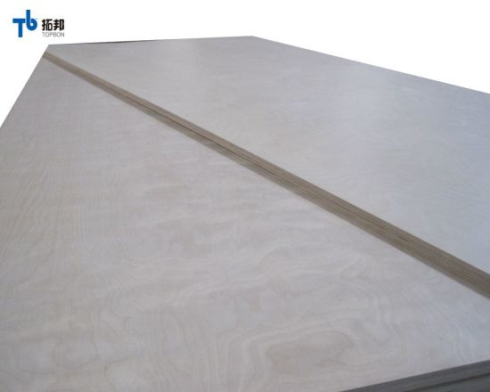 12 mm de madera contrachapada de abedul/ hoja de madera contrachapada con alta calidad