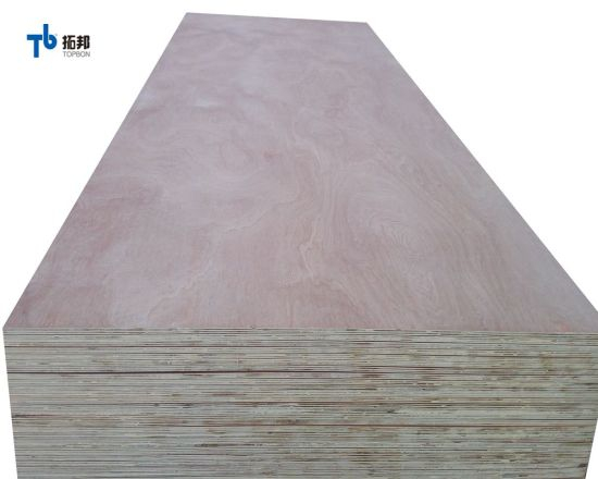 Contrachapado Sapele de alta calidad con buen precio