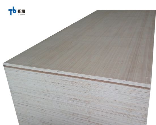 "Madera contrachapada de álamo EV de bajo precio para los mercados de África"